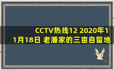 CCTV热线12 2020年11月18日 老潘家的三亩自留地